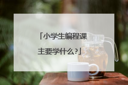 小学生编程课主要学什么?