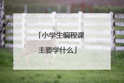 小学生编程课主要学什么