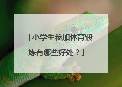 小学生参加体育锻炼有哪些好处？