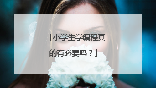小学生学编程真的有必要吗?