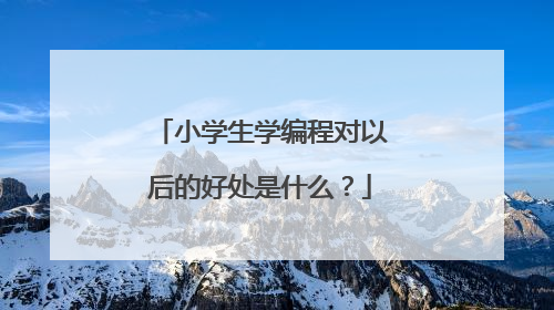 小学生学编程对以后的好处是什么?
