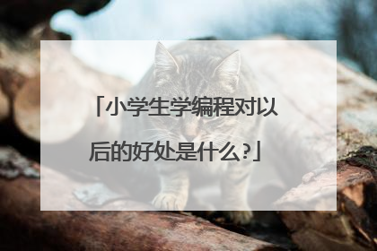 小学生学编程对以后的好处是什么?