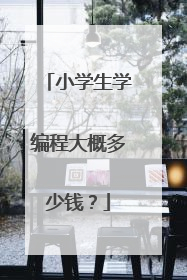 小学生学编程大概多少钱？