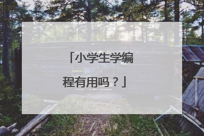小学生学编程有用吗?