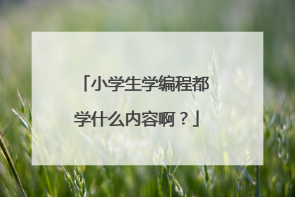 小学生学编程都学什么内容啊？
