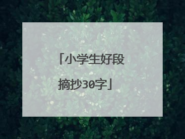 小学生好段摘抄30字