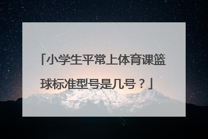 小学生平常上体育课篮球标准型号是几号？