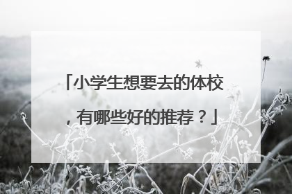 小学生想要去的体校,有哪些好的推荐?
