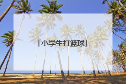 小学生打篮球