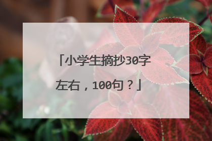 小学生摘抄30字左右，100句？