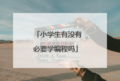 小学生有没有必要学编程吗