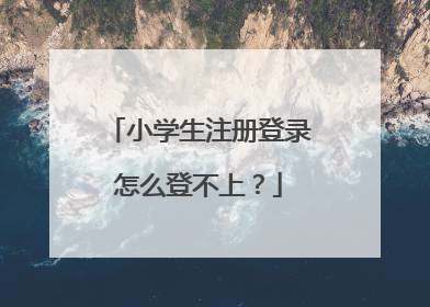 小学生注册登录怎么登不上?