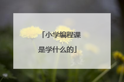 小学编程课是学什么的
