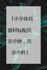 小学体育器材标配共多少种，共多少件