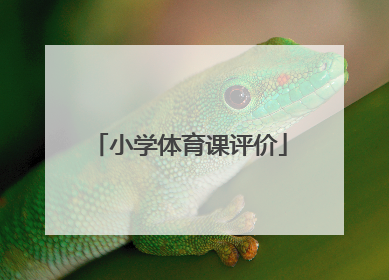 小学体育课评价