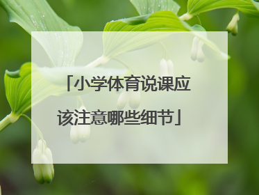 小学体育说课应该注意哪些细节