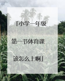 小学一年级第一节体育课该怎么上啊