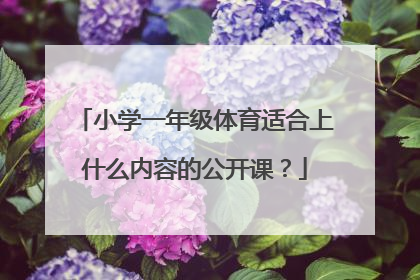 小学一年级体育适合上什么内容的公开课？