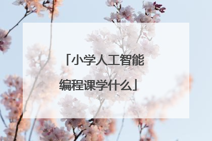 小学人工智能编程课学什么
