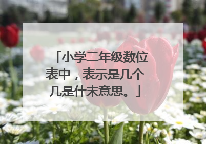 小学二年级数位表中，表示是几个几是什末意思。