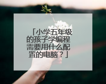 小学五年级的孩子学编程需要用什么配置的电脑?