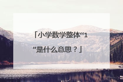 小学数学整体“1”是什么意思?
