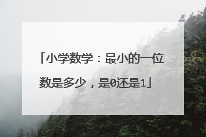 小学数学:最小的一位数是多少,是0还是1