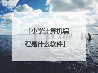 小学计算机编程是什么软件