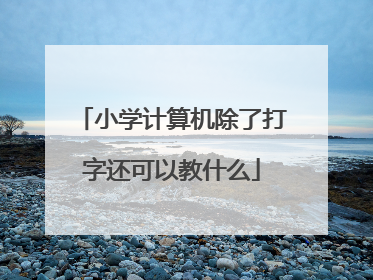 小学计算机除了打字还可以教什么