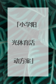 小学阳光体育活动方案