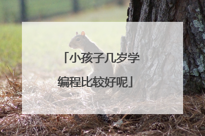 小孩子几岁学编程比较好呢