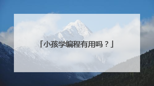 小孩学编程有用吗?