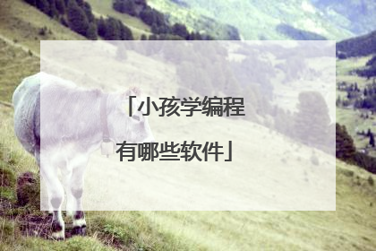 小孩学编程有哪些软件