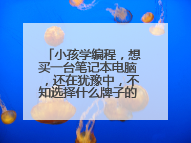 小孩学编程，想买一台笔记本电脑，还在犹豫中，不知选择什么牌子的好，望博主推荐一下，谢谢！