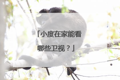 小度在家能看哪些卫视？