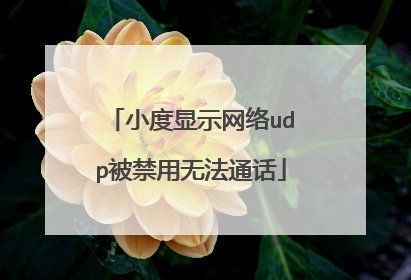 小度显示网络udp被禁用无法通话