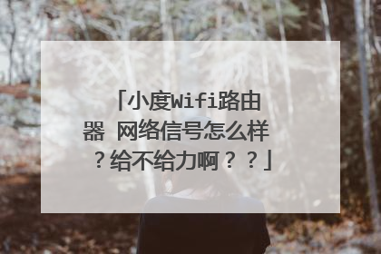 小度Wifi路由器 网络信号怎么样？给不给力啊？？