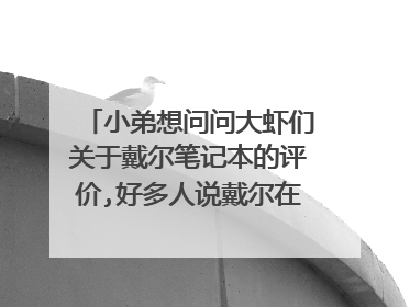 小弟想问问大虾们关于戴尔笔记本的评价,好多人说戴尔在国外只相当于国内的清华同芳,是真的吗???