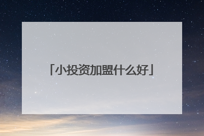小投资加盟什么好