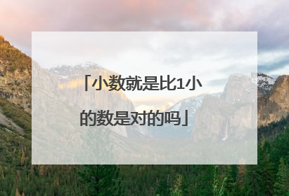小数就是比1小的数是对的吗