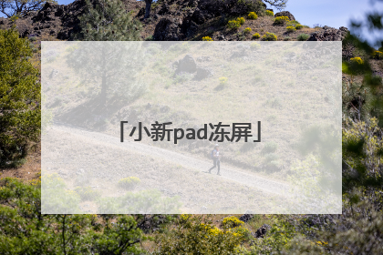 小新pad冻屏