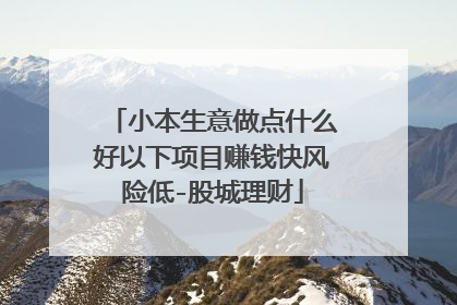 小本生意做点什么好以下项目赚钱快风险低-股城理财