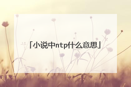 小说中ntp什么意思