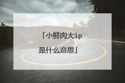 小鲜肉大ip是什么意思