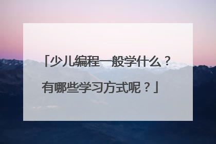 少儿编程一般学什么？有哪些学习方式呢？