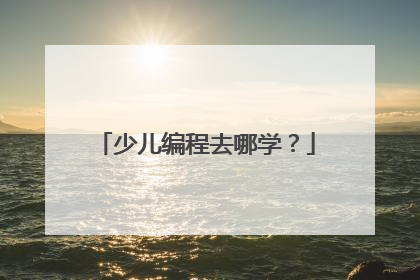 少儿编程去哪学?