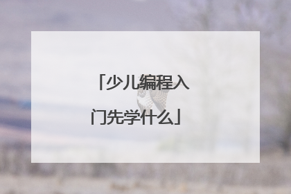 少儿编程入门先学什么