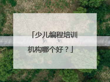 少儿编程培训机构哪个好？