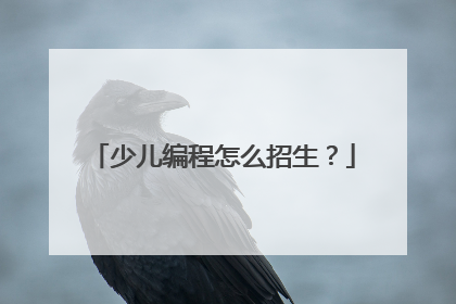少儿编程怎么招生?