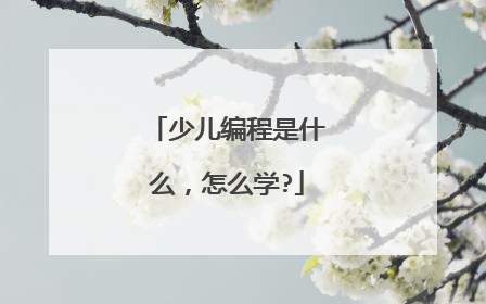 少儿编程是什么,怎么学?